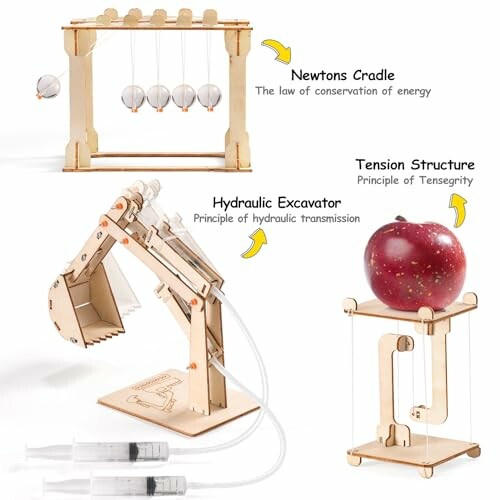 Three educational physics models: Newton's Cradle, hydraulic excavator, and tension structure.