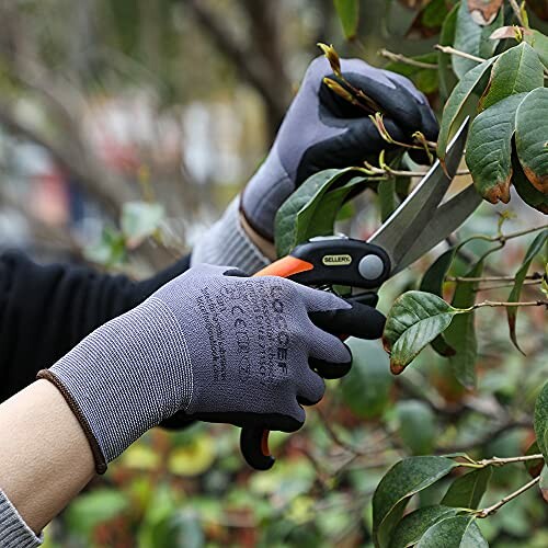 Person using pruning shears to cut leaves with gloves on.